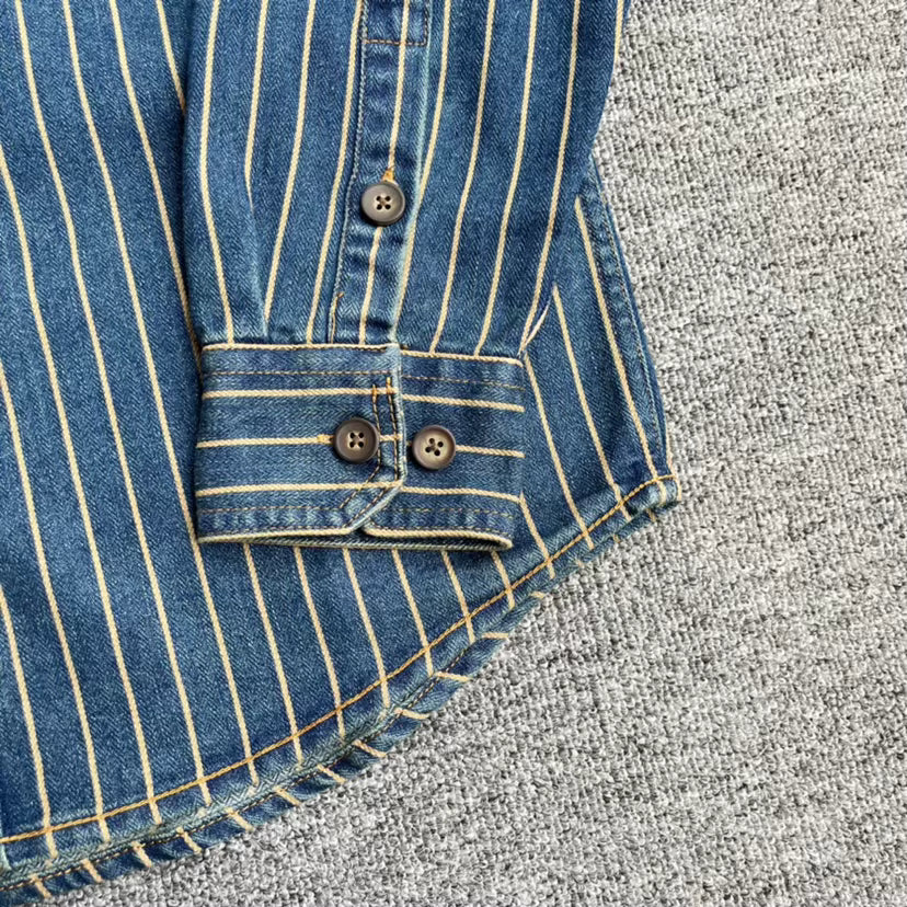 HUDSON STRIPED DENIM SHIRT