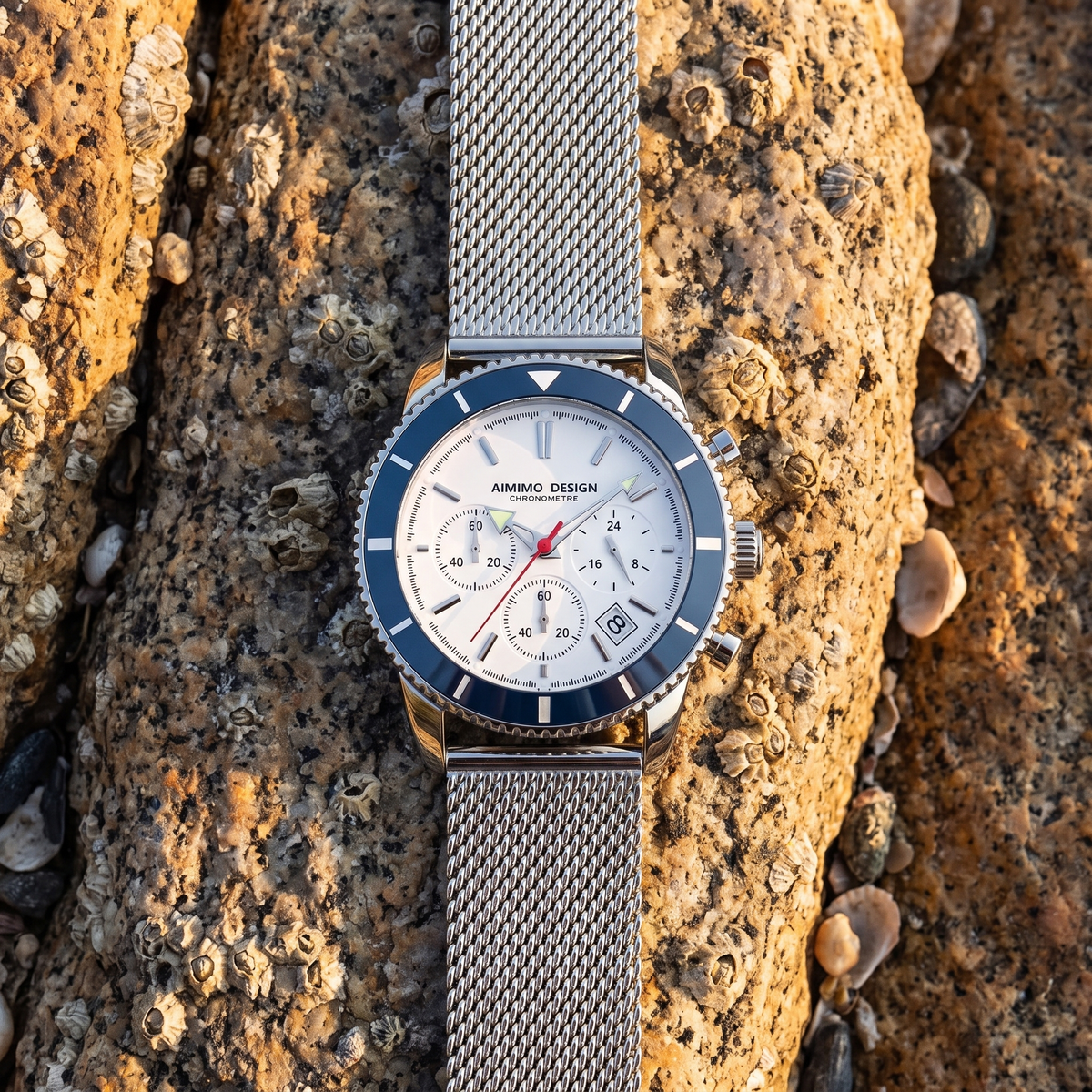 Laguna Mesh Watch