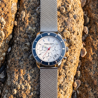 Laguna Mesh Watch